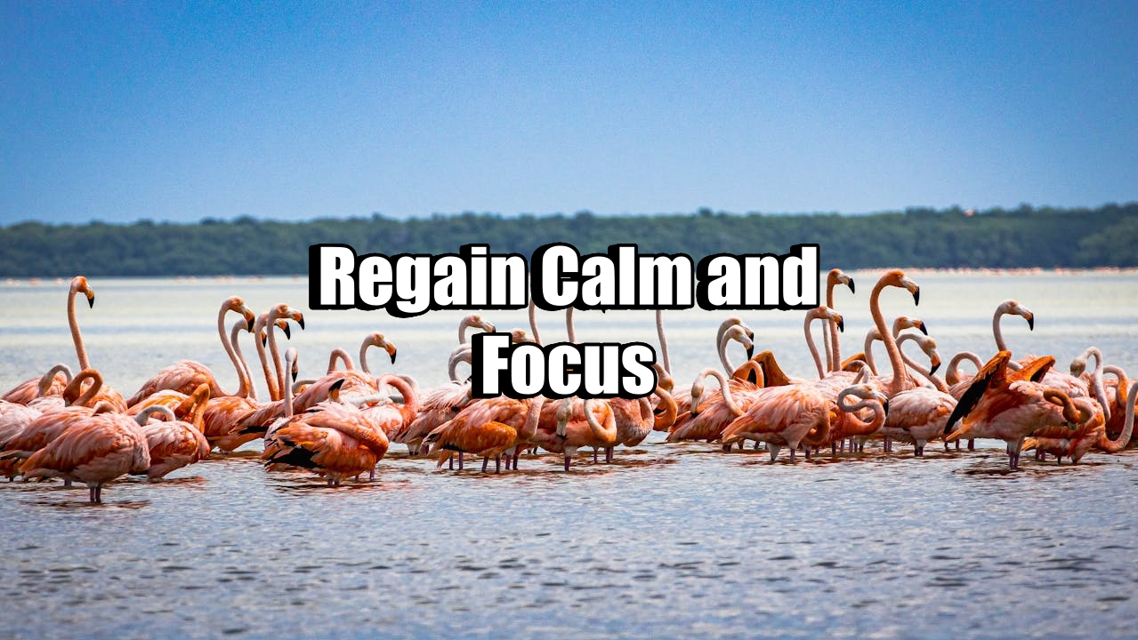Regain Calm and Focus