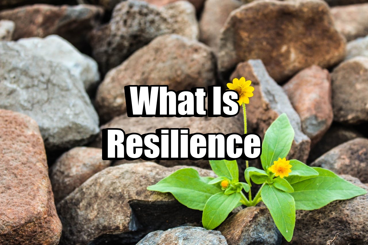 What Is Resilience